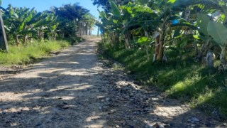 Vereador Valdeci Delmonego Cobra Melhorias Na Rua João Antônio Ramos
Vereador Valdeci Delmonego Cobra Melhorias Na Rua João Antônio Ramos